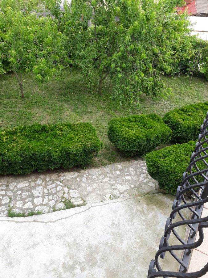 Apartamento Casa Ade Călimăneşti Exterior foto